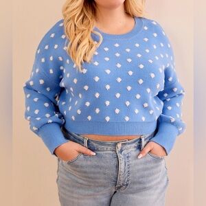NWT Arula Hailey dot sweater, Arula size A, 1X
